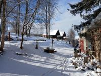 20250215_094142 (1024x768).jpg